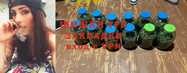 молекула духа Снежногорск