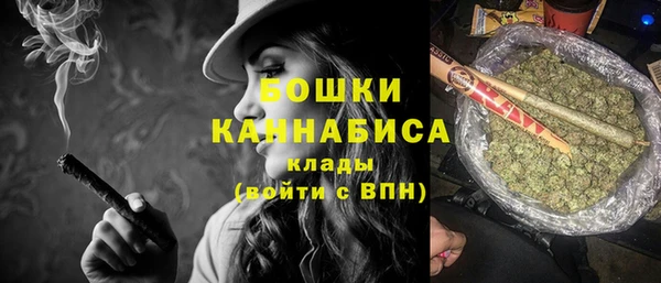 молекула духа Снежногорск