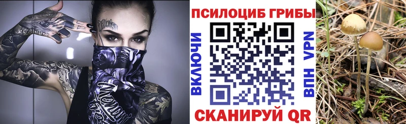 закладка  Янаул  Псилоцибиновые грибы GOLDEN TEACHER 